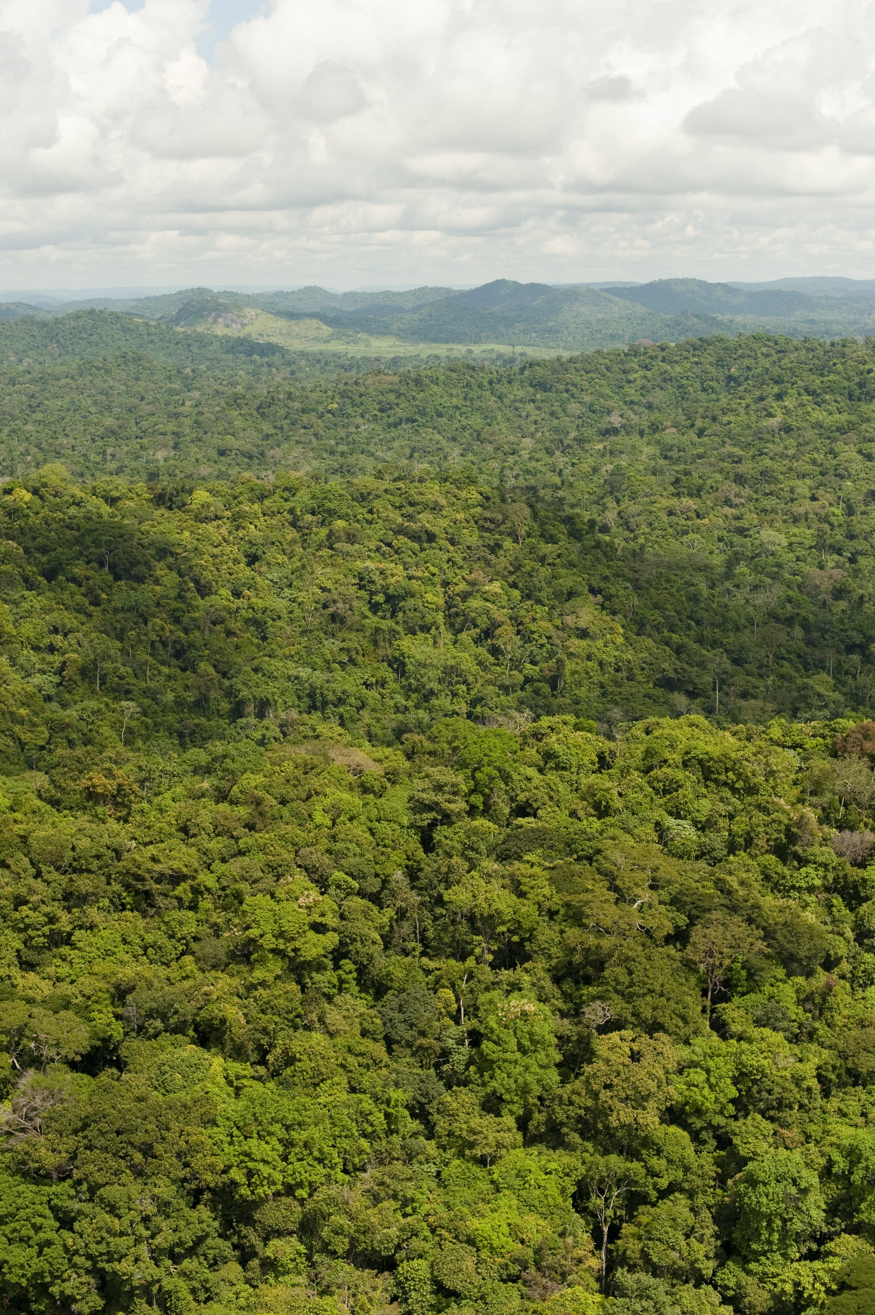 São Feliz do Xingu