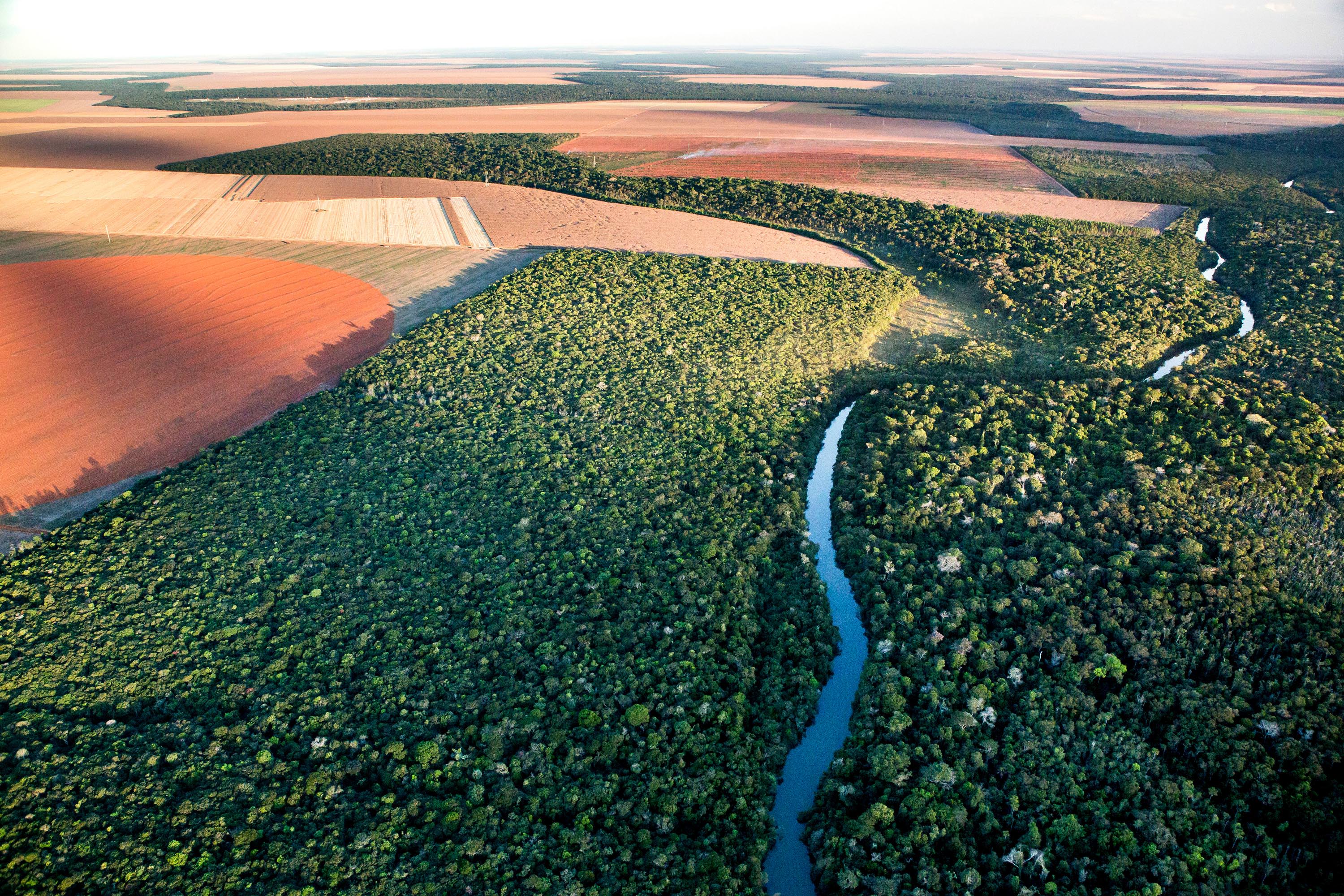 Águas do Tapajós