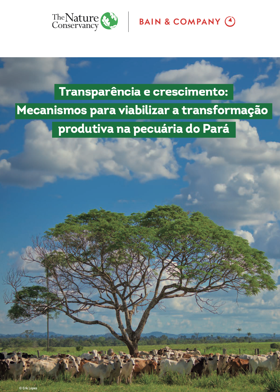 Estudo realizado pela The Nature Conserevancy e Bain sobre o mercado de pecuária no estado do Pará.